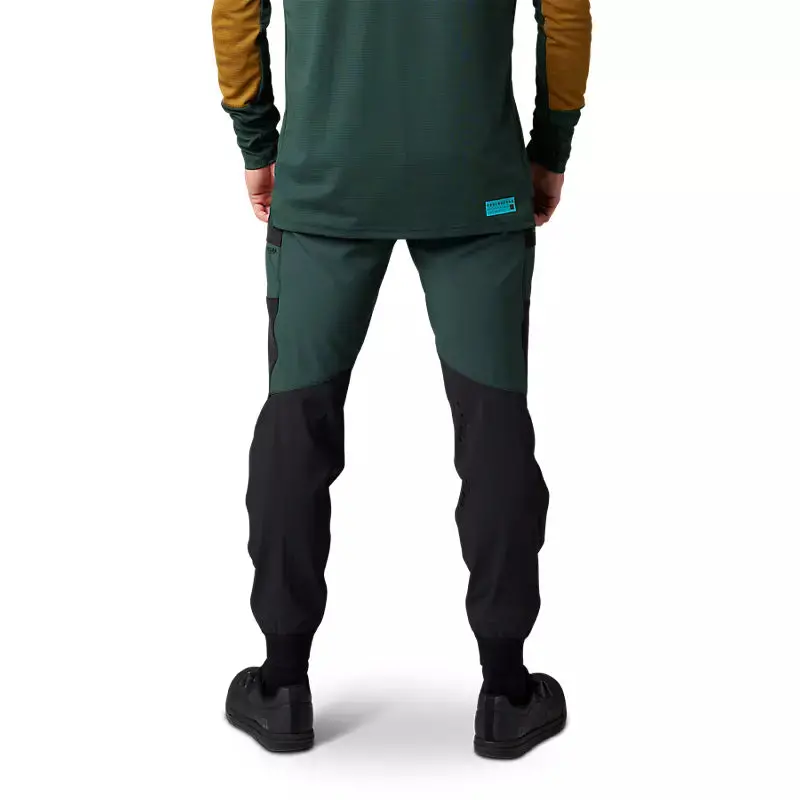 Fox Defend Pro Pants 8