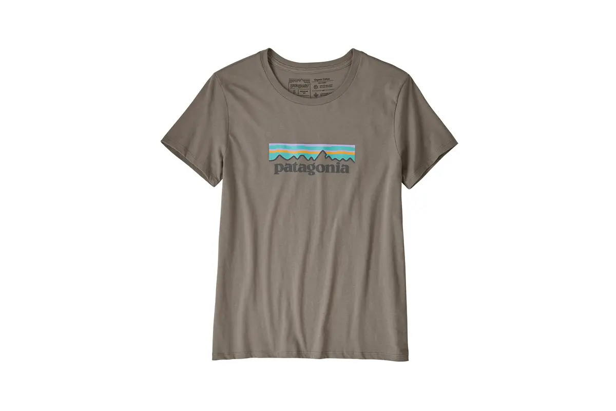 Patagonia Pastel P-6 Logo Organic Crew Tee 1