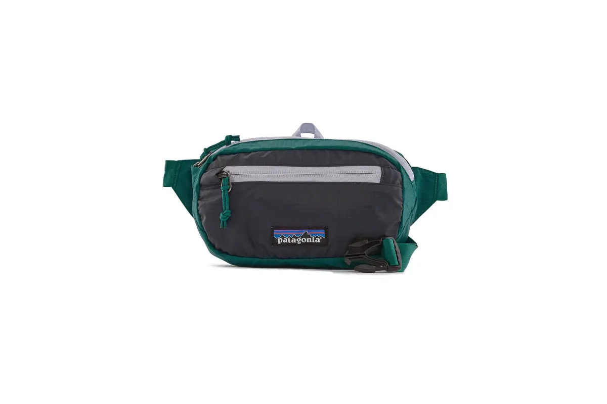 Patagonia Ultralight Black Hole Mini Hip Pack 1L 1