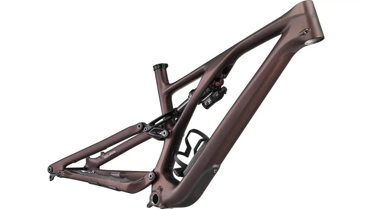 Specialized Stumpjumper Evo Frame 1