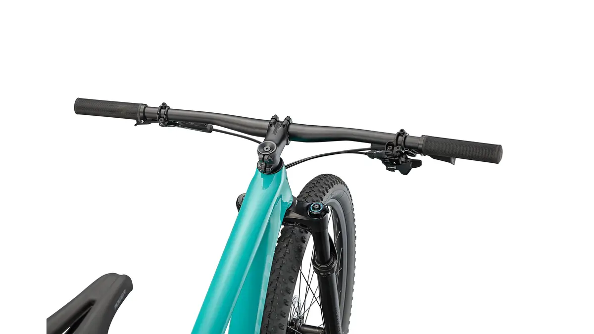 Specialized Epic Hardtail 9