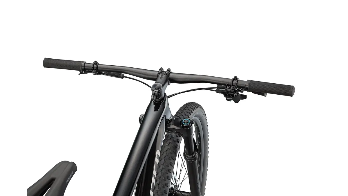 Specialized Epic Hardtail 10