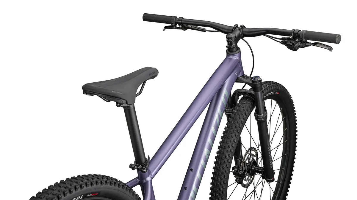 Specialized Rockhopper Comp 12