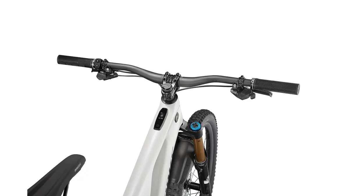 Specialized Levo S-Works Carbon 10