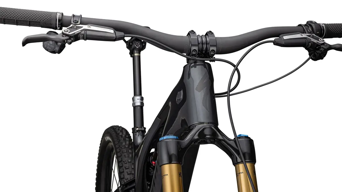 2023 Specialized S-Works Levo G3 9
