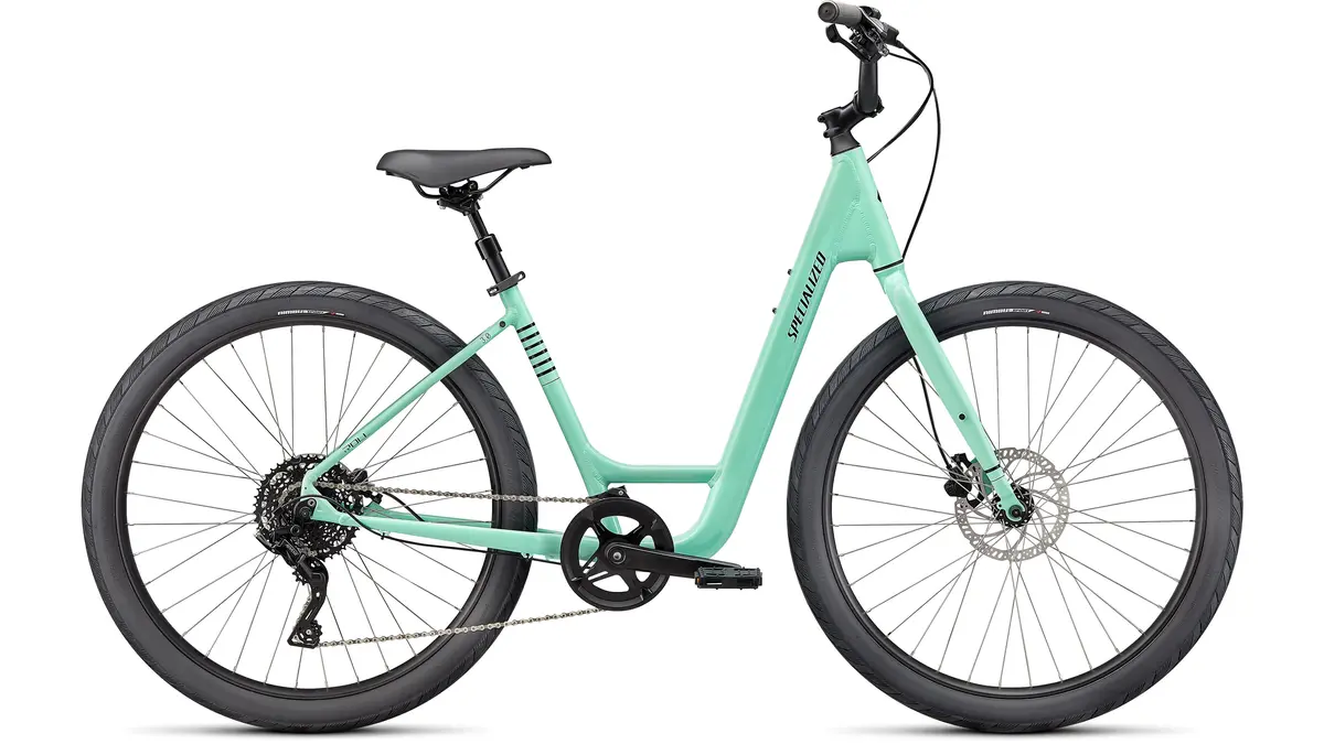 Specialized Roll 3.0 Low Entry 1