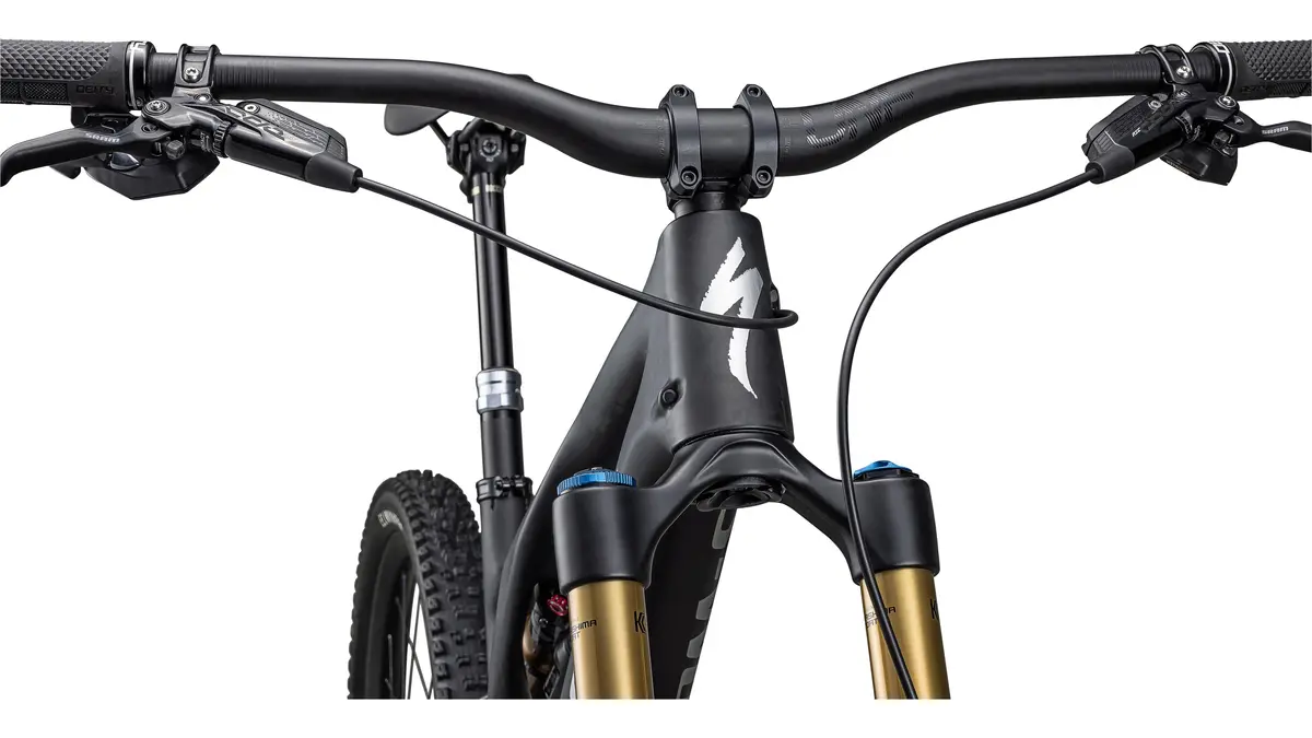 Stumpjumper Evo S-Works 6