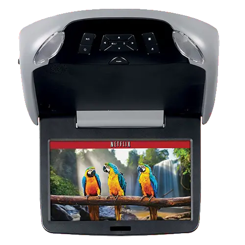 Roadmotion Rm10- 10 Inch Overhead Video Dvd 1