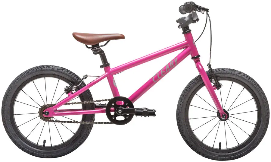 Cleary Bikes Hedgehog 1