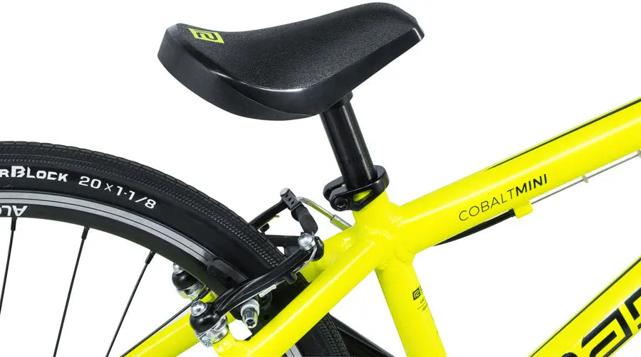Radio Cobalt Bmx Race Bike 13