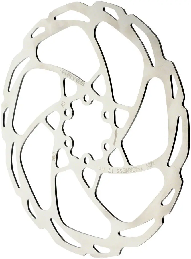 Hayes D-Series Disc Rotor 1