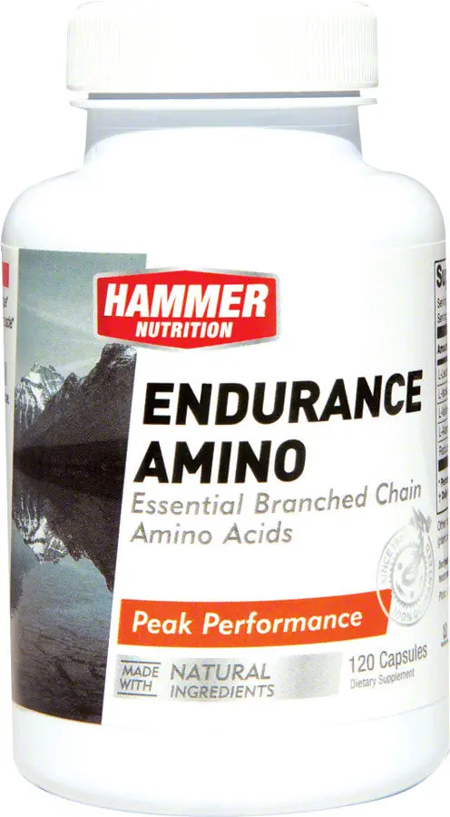 Hammer Nutrition Endurance Amino 1