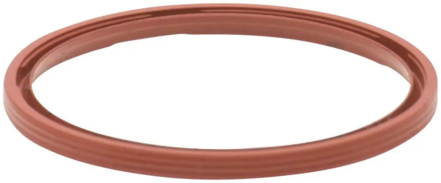 Easton Freehub Seal 1