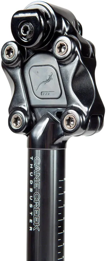Cane Creek Thudbuster St Suspension Seatpost 2