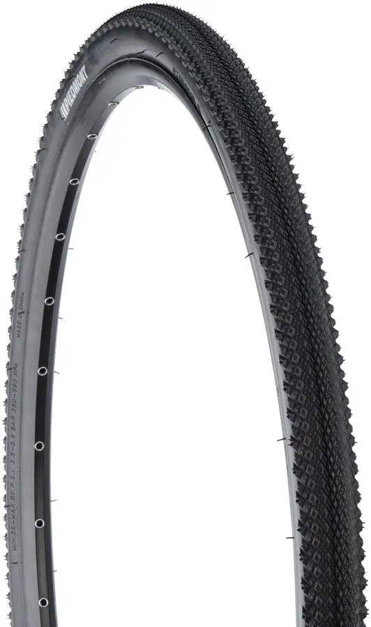 Kenda Piedmont Tire 2