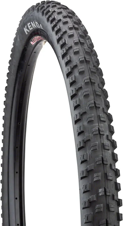 Kenda Regolith Tire 2