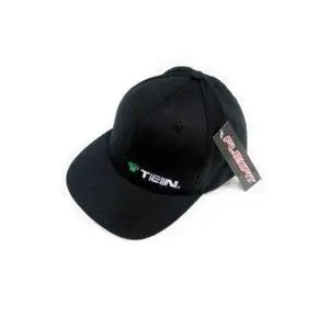Tein Fitted Hat - Black 1