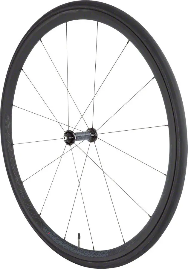 Vittoria Elusion  Wheelset 1