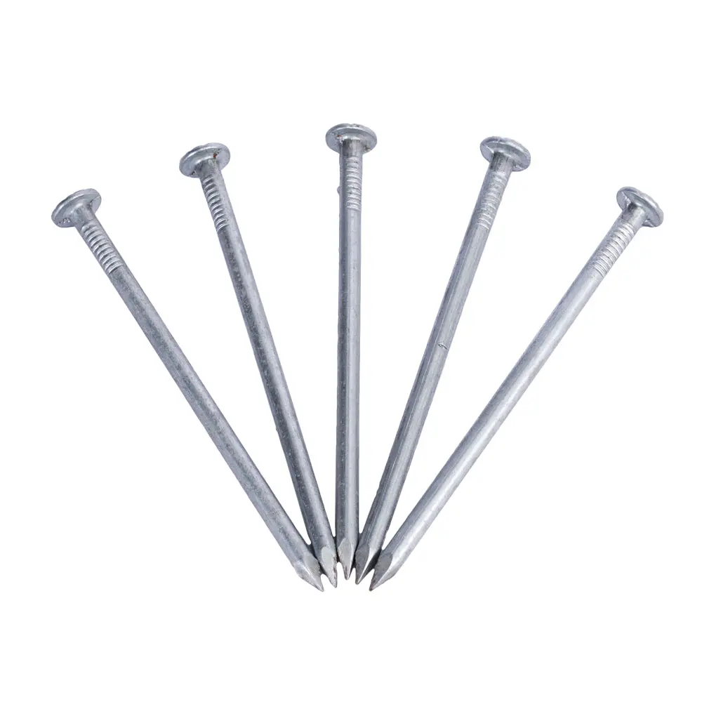 Chrisnik Maghub 1/4 Inch Spike 1