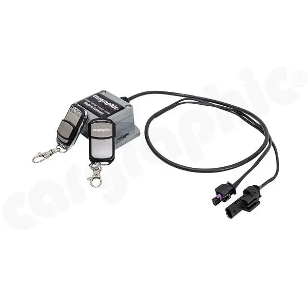 Cargraphic Valve Controller For Porsche 1