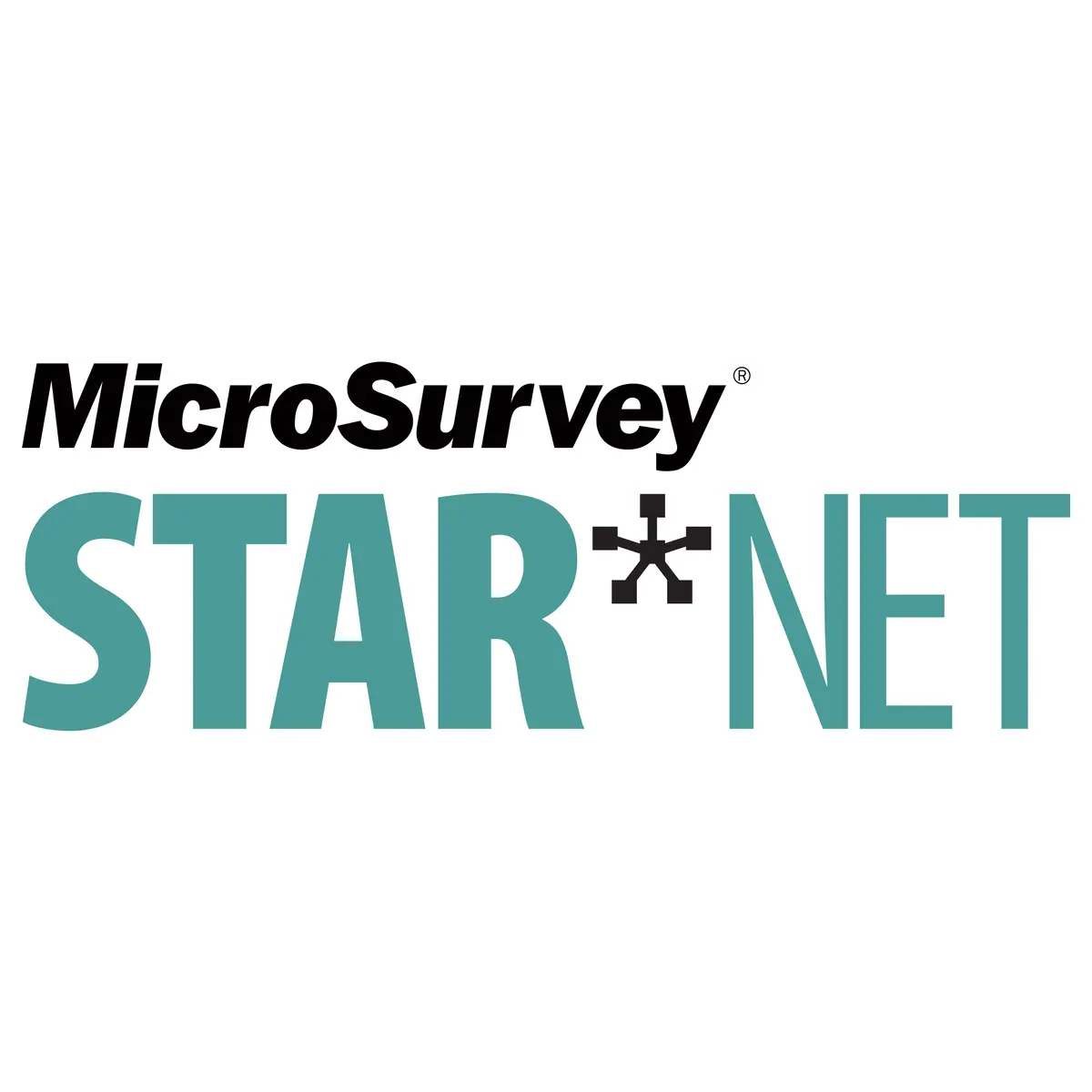 Microsurvey Star*Net 1