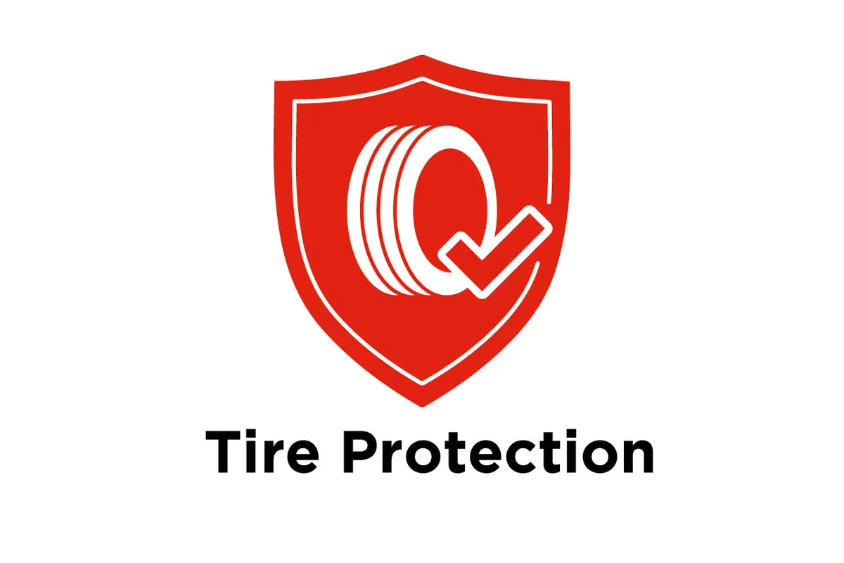 18" Tesla Tire Road Hazard Protection 1