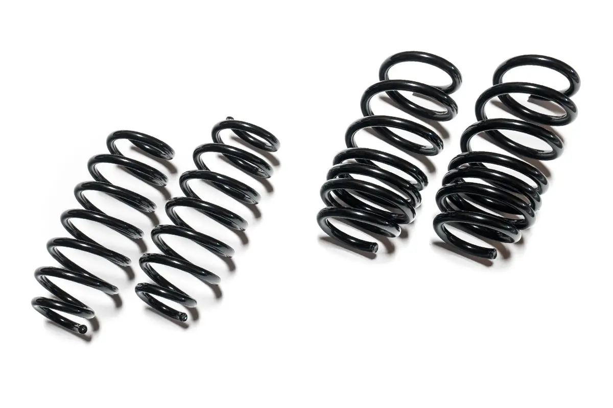 Tesla Model 3 Sport Lowering Springs 1