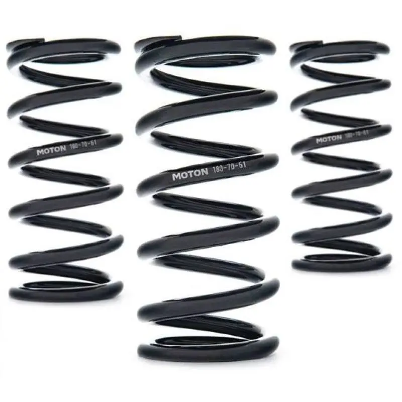 Ast Linear Race Springs – 100Mm Length, 110 N/Mm Rate, 61Mm Id (Pair) 1